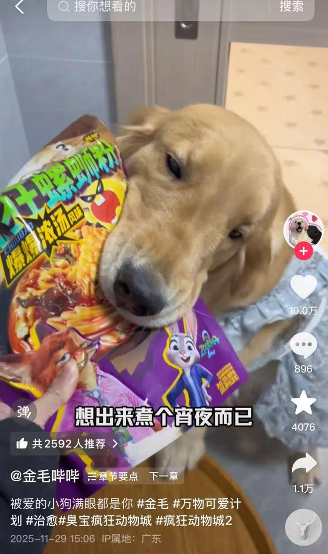 臭宝合作《疯狂动物城2》，品牌活动开启“嘉年华”时代