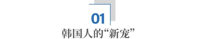 湘南这座偏远大山，为何成了韩国人的“新宠”？