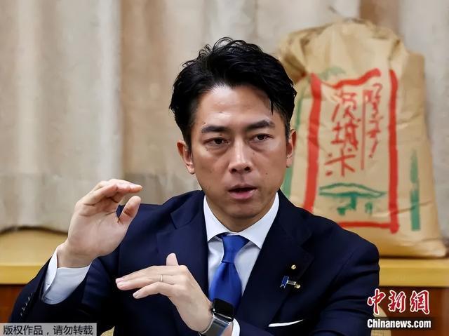 小泉进次郎的“狼”，来了