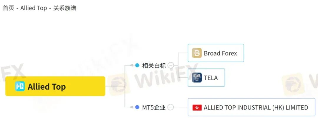 深耕国内的Allied Top平台 各种渠道“全部失联”回应客户出金问题