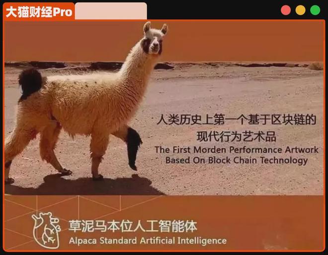 1500个比特币旧债曝光，摩尔“联合创始人”消失？