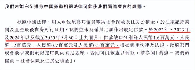 巴奴再冲港股IPO，营收超 20 亿，非正式用工占比超8成引关注