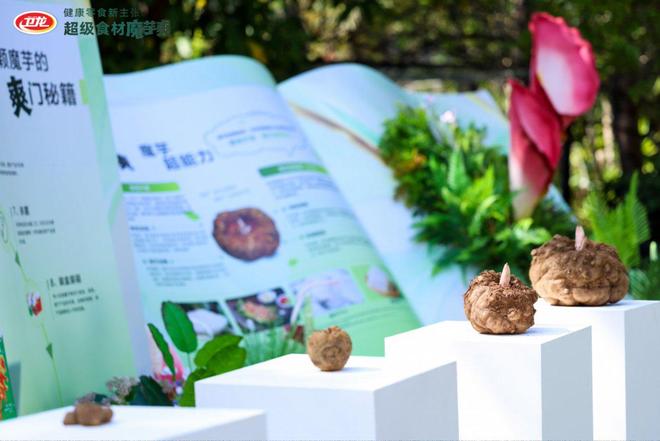 “既要又要”的消费者，如何捧出一个千亿级的魔芋市场？