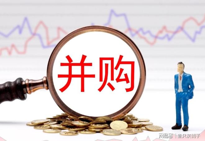 湖北父子暴富之谜：集体工厂变私营企业，父亲吃透规则狂赚数亿