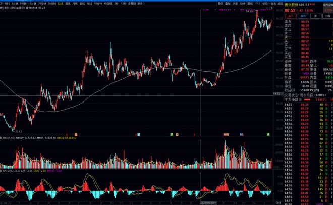 精度季报丨白冰洋，最适合抄作业的基金经理之一