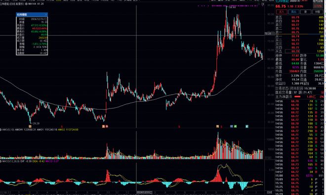 精度季报丨白冰洋，最适合抄作业的基金经理之一