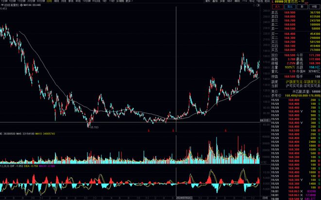 精度季报丨白冰洋，最适合抄作业的基金经理之一