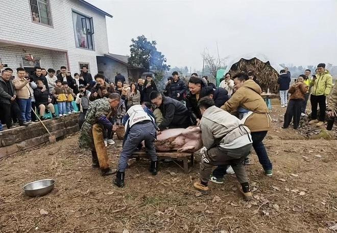 流量太大了,一夜涨粉200万的呆呆,撤退了 流量太大了,一夜涨粉200万的呆呆,撤退了