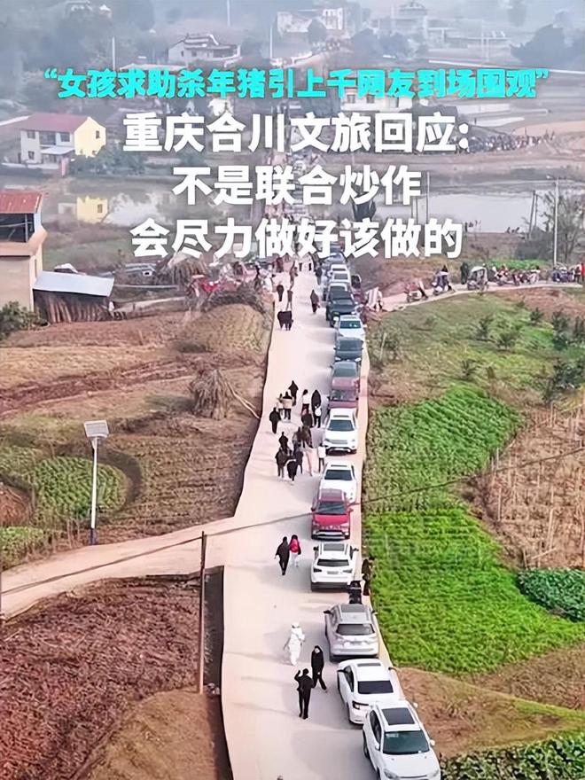 流量太大了,一夜涨粉200万的呆呆,撤退了 流量太大了,一夜涨粉200万的呆呆,撤退了