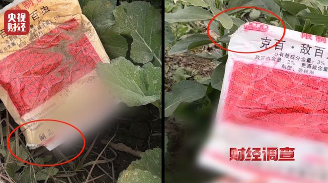 厂家铤而走险，商户违规牟利！含毒农药逃避市场监管？《财经调查》曝光→