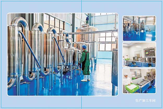 罗平产业升级进行时：多元驱动绘就高质量发展新画卷