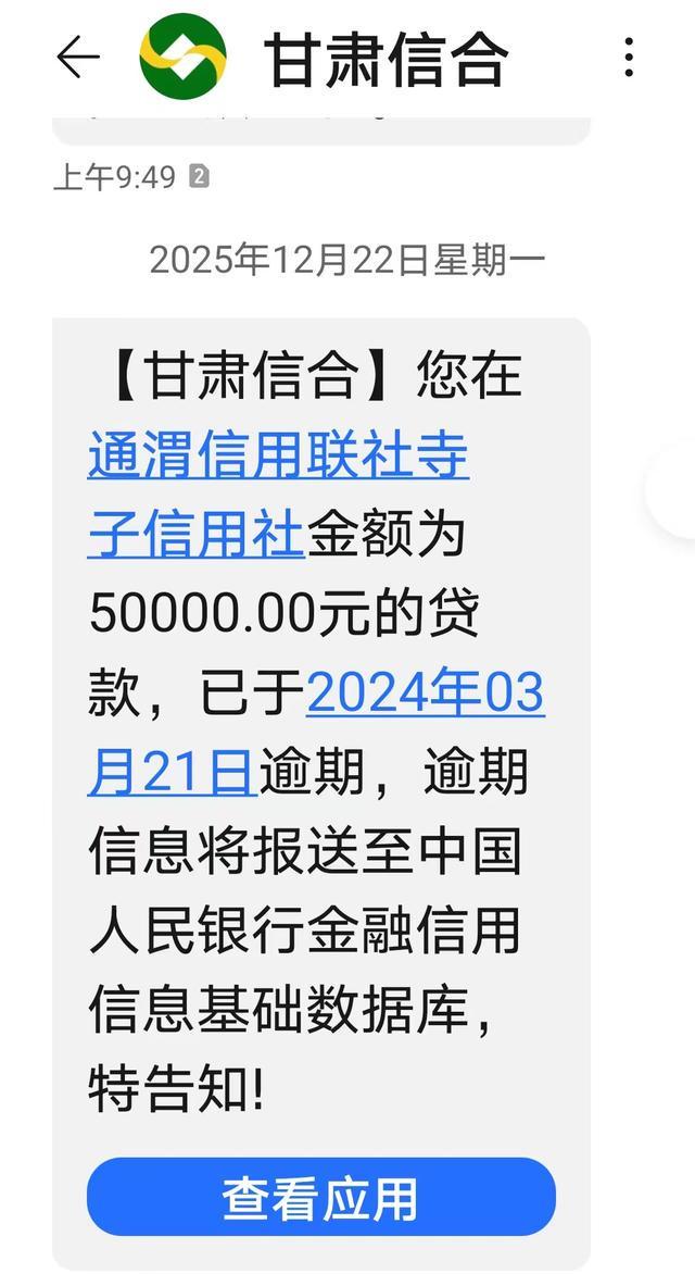 为支付安置项目工程款，13户村民“被贷款”；当地回应：情况较复杂，正设法解决