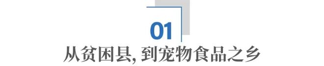 王宝强老家的“财富密码”：在毛孩子身上，一年赚两百亿