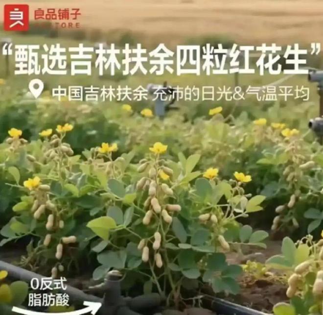 必看！超50个真实案例，“2025年十大危机公关”盘点来了