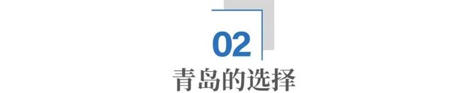 北方芯片高地，为什么是青岛？