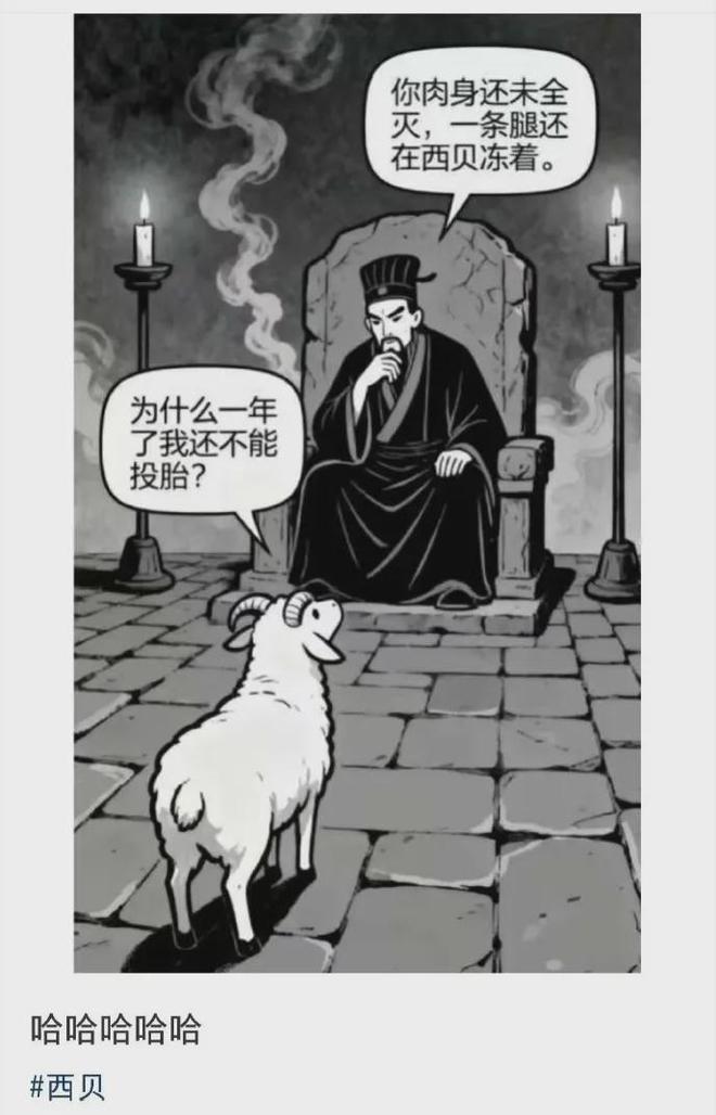 要搞死自己？贾国龙宣战罗永浩，今晚开干