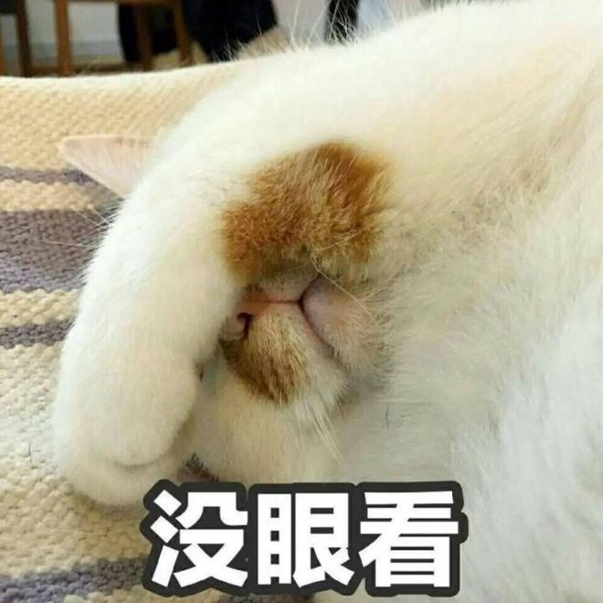 要搞死自己？贾国龙宣战罗永浩，今晚开干