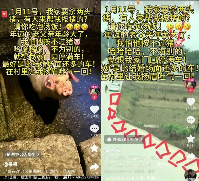 重庆合川“摇人按猪”女孩粉丝破190万！60秒以上视频广告报价2400元，商标被多方申请注册，网友提议→