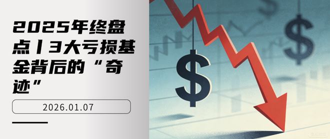 2025年终盘点丨3大亏损基金背后的“奇迹”