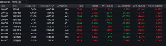 2025年终盘点丨3大亏损基金背后的“奇迹”