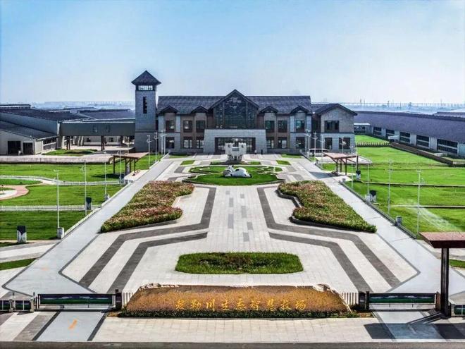 央视朱广权探访伊利牧场：发现了国产乳业崛起的秘密