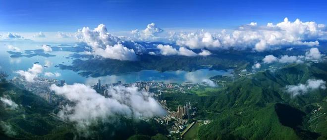 营商观察|看深圳盐田如何玩转“场景+服务+产业”新生态? 营商观察|看深圳盐田如何玩转“场景+服务+产业”新生态?