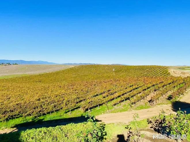 光伏、电池出口退税新政出台，对行业影响有多大？