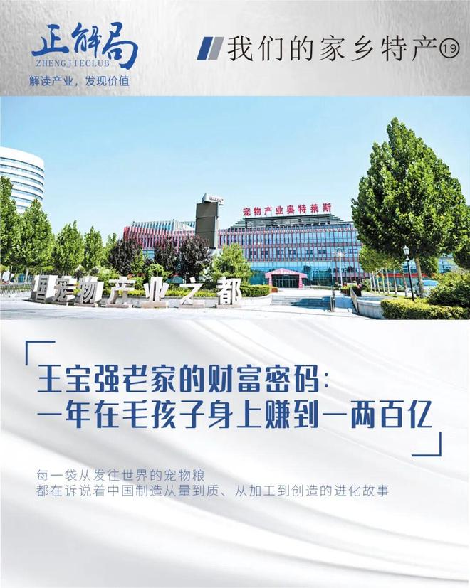 王宝强老家的“财富密码”:在毛孩子身上,一年赚两百亿 王宝强老家的“财富密码”:在毛孩子身上,一年赚两百亿