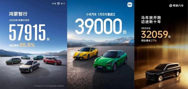 2026 首月车市：冷中有热，分化加剧