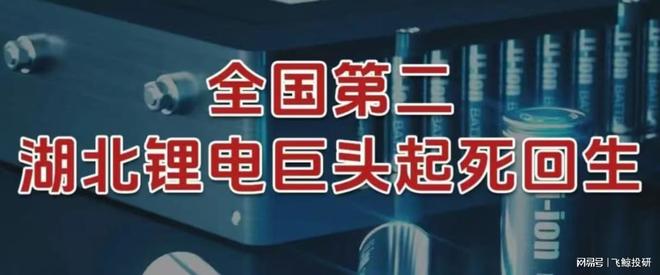 全国第二，湖北锂电巨头，起死回生！