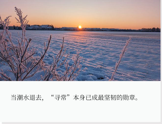 2026新春献辞：当时只道是寻常