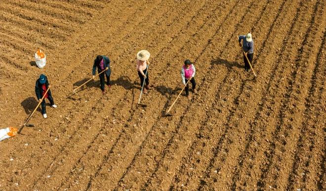 春节曾3次被取消,为何仍拦不住中国人过年? 春节曾3次被取消,为何仍拦不住中国人过年?