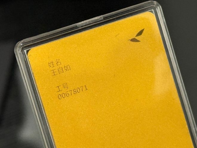 逆袭了!王自如GAP期曾跑网约车,现成雷鸟“金牌打工人” 逆袭了!王自如GAP期曾跑网约车,现成雷鸟“金牌打工人”