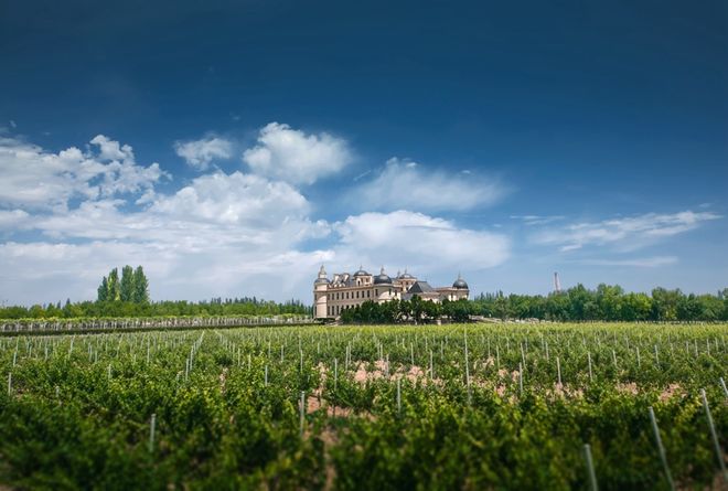 “地表最懂酒的总统”马克龙接过一瓶中国酒