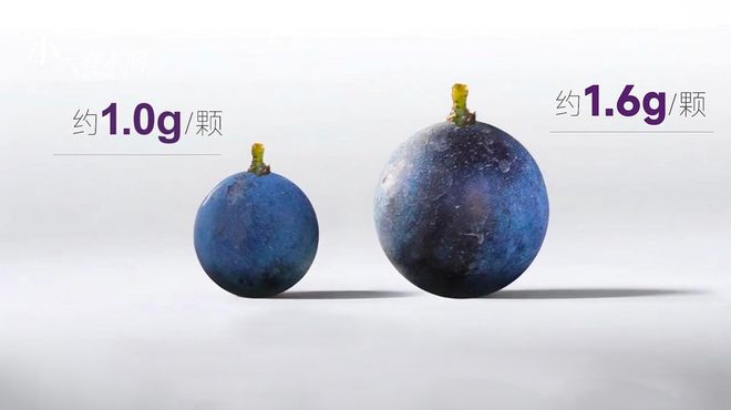 “地表最懂酒的总统”马克龙接过一瓶中国酒