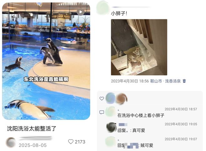 “洗澡时被雨淋加电击”成了北漂解压新方法，洗浴中心里都能演灾难片了？