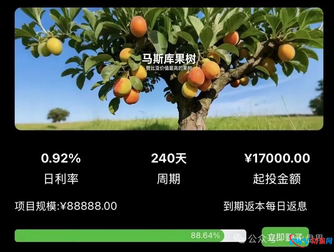 警惕“云种树”新变种!“华洋绿投”借赞比亚、东南亚果园噱头,专骗中老年养老钱 警惕“云种树”新变种!“华洋绿投”借赞比亚、东南亚果园噱头,专骗中老年养老钱