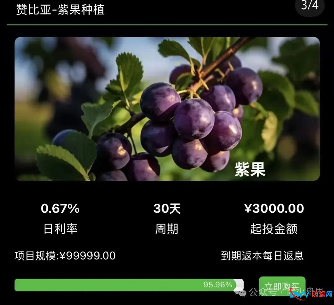 警惕“云种树”新变种!“华洋绿投”借赞比亚、东南亚果园噱头,专骗中老年养老钱 警惕“云种树”新变种!“华洋绿投”借赞比亚、东南亚果园噱头,专骗中老年养老钱