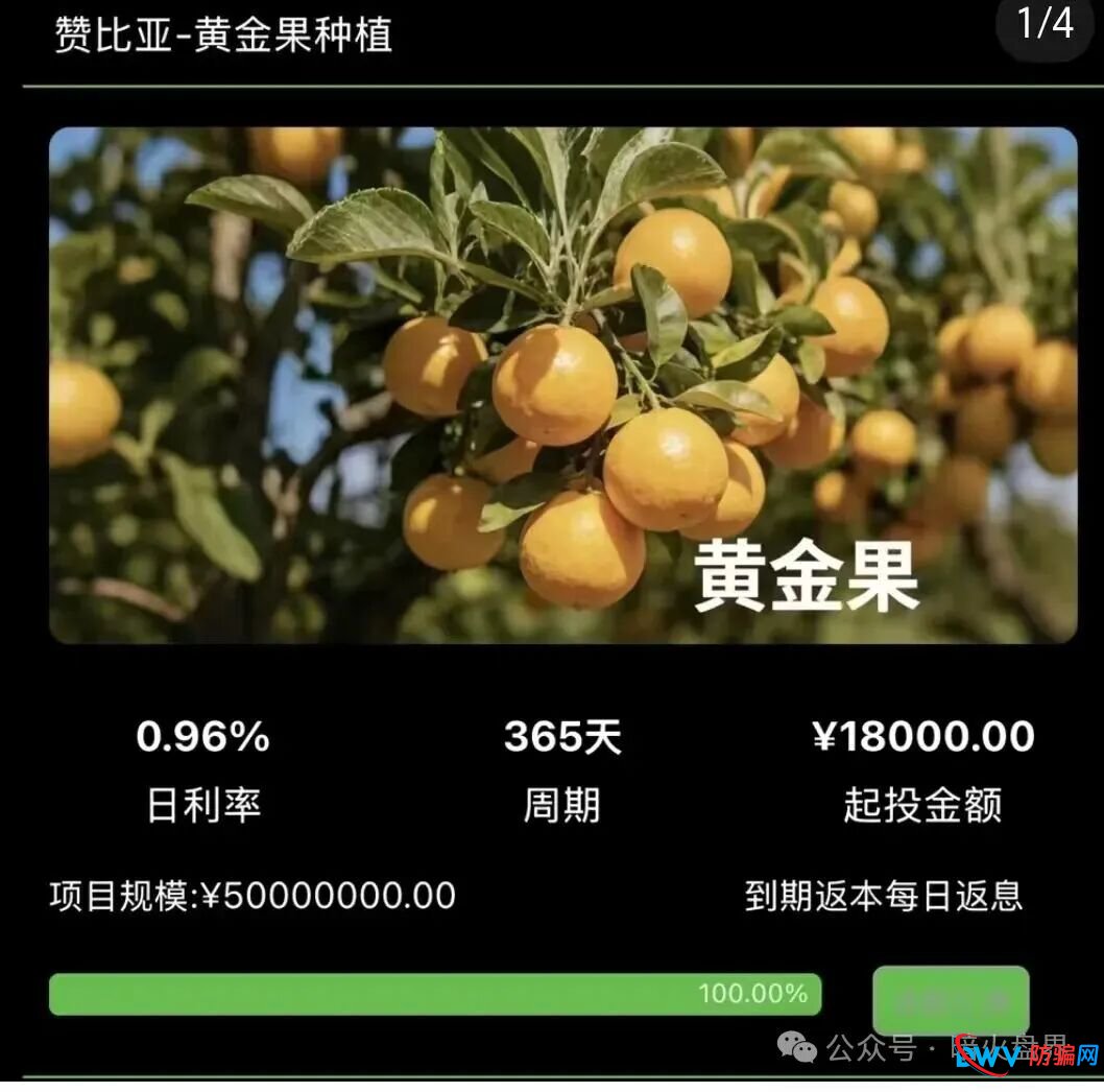 警惕“云种树”新变种!“华洋绿投”借赞比亚、东南亚果园噱头,专骗中老年养老钱 警惕“云种树”新变种!“华洋绿投”借赞比亚、东南亚果园噱头,专骗中老年养老钱