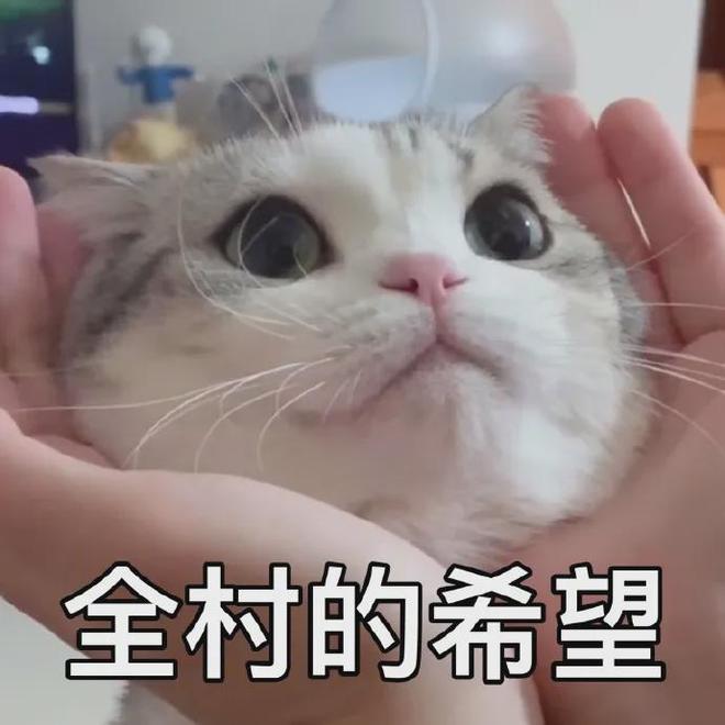 招来一堆华为系，“汽车狂人”要和华为智驾“打擂台”？