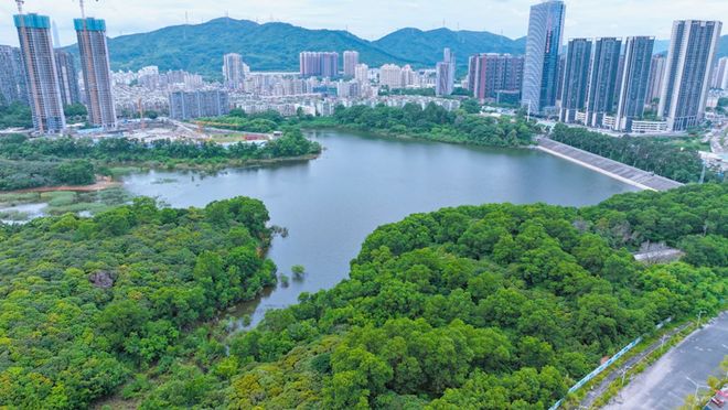 又一个利好，已在路上！