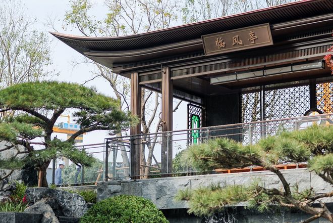 又一个利好，已在路上！