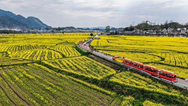 复旦大学教授：传统村落消失带来隐忧，乡村振兴应避免“悬浮式治理”