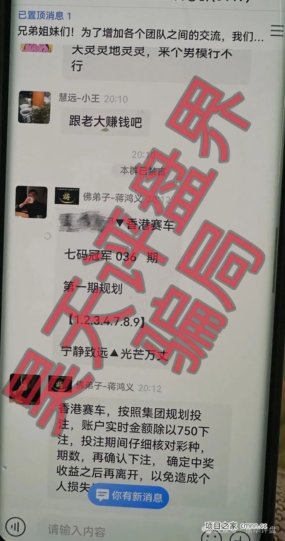 为什么高学历、懂电脑的人也躲不过“银彩娱乐”？从心理学的角度聊聊“认知陷阱”