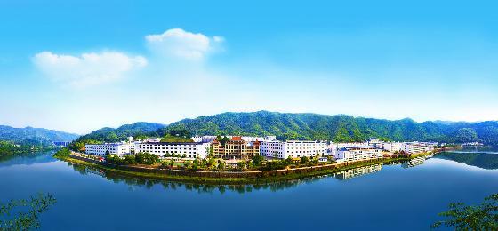 业绩连跌4个季度，迎驾贡酒急了！75后销售老兵重掌帅印，充当“救火队长”