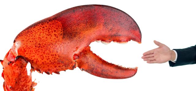 大裁员20%，新模型难产，Meta AI这团乱麻仍然没理顺