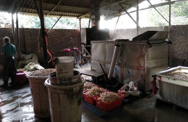 3.15曝光的毒鸡爪，最恐怖的不是双氧水，而是背后的3大疑点