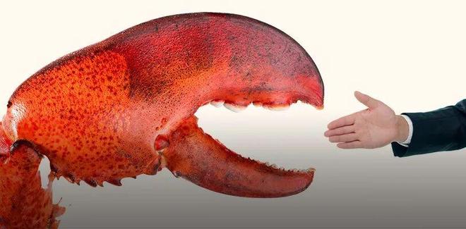 林俊旸离职后，再看阿里字节的AI路线之争