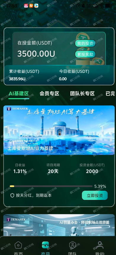 淡马锡资金盘诈骗(8)