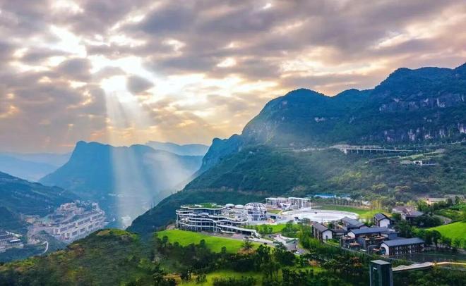 红花国色，全球绽放，这瓶酒快要承包中国人的喜庆了